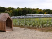 Agrovoltaika MND na jin Morav, foto &copy; TZB-info